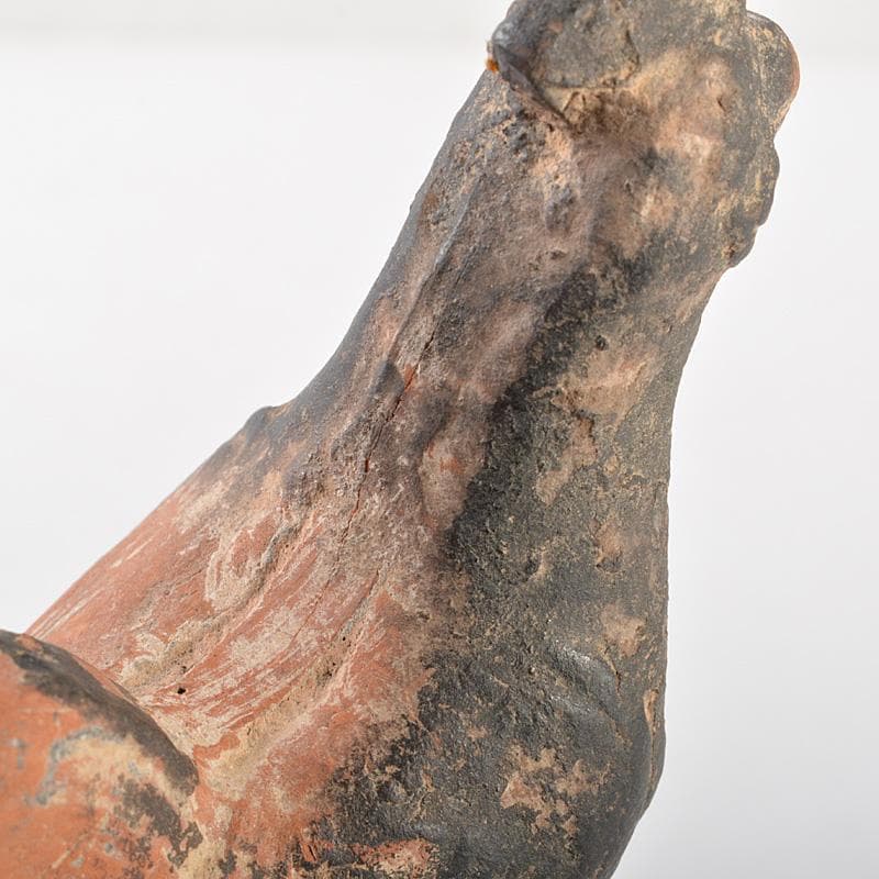 中国　加彩　鳥　置物　飾り台付　C　R5913