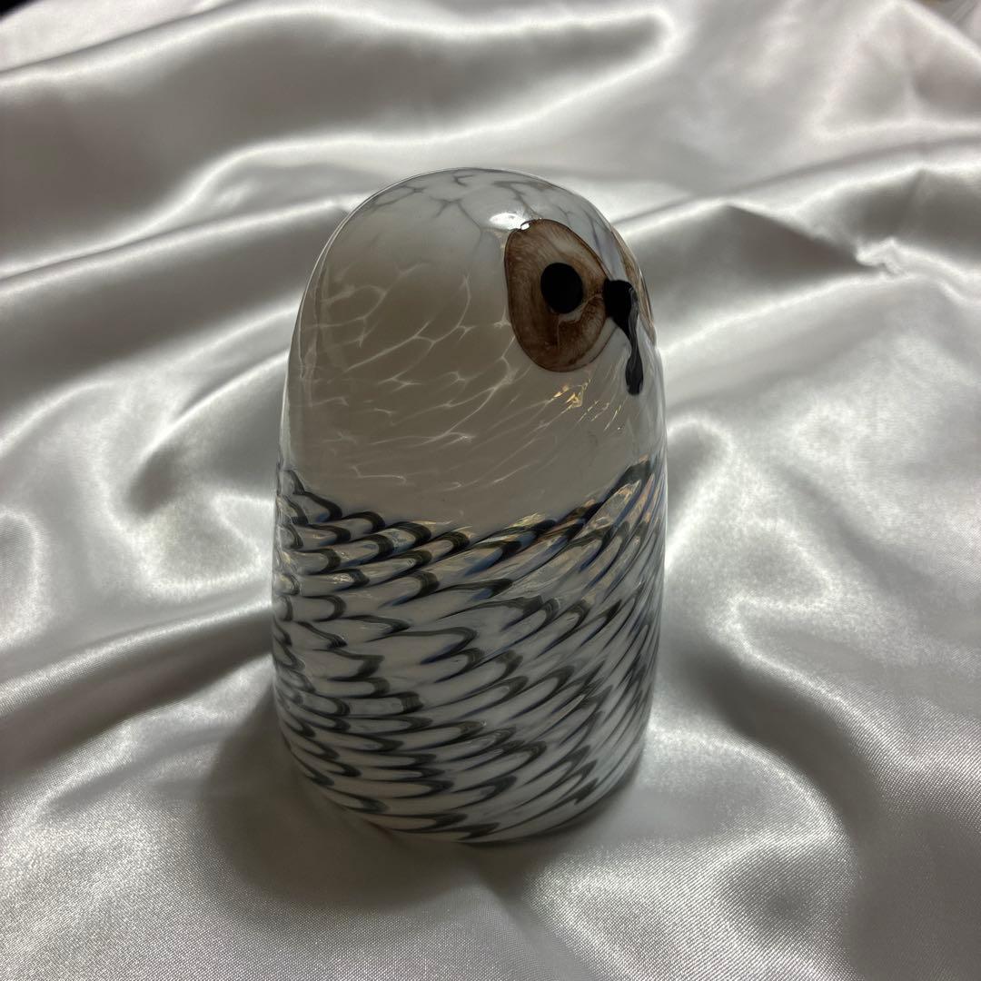  Lumi バード Owlet owl フクロウ