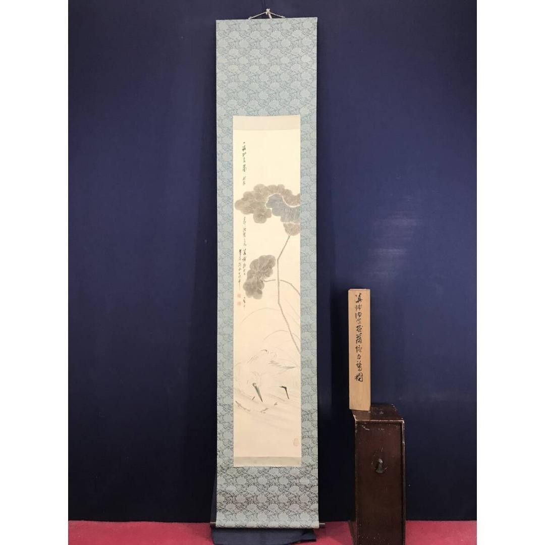 真作/藤井華浦/蓮に白鷺/サギ図/花鳥図/掛軸☆宝船☆AK-213