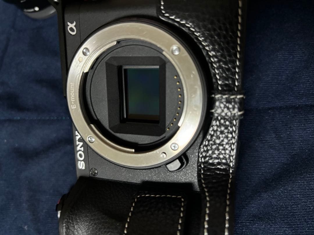 SONYα6600 G(SEL1655G)Eマウント16-55 F2.8セット