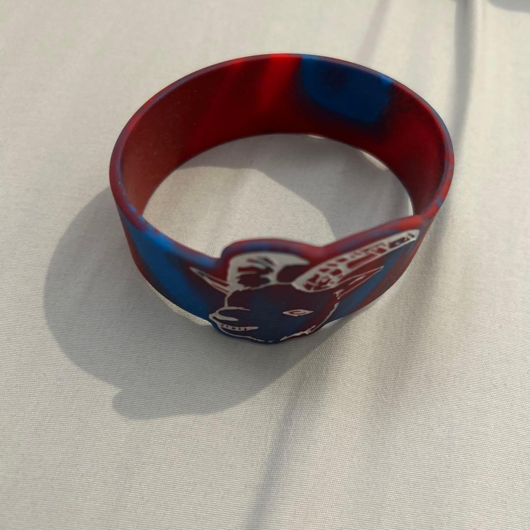 激レア 初期 Chevon 直筆サイン入りポスター おまけ付