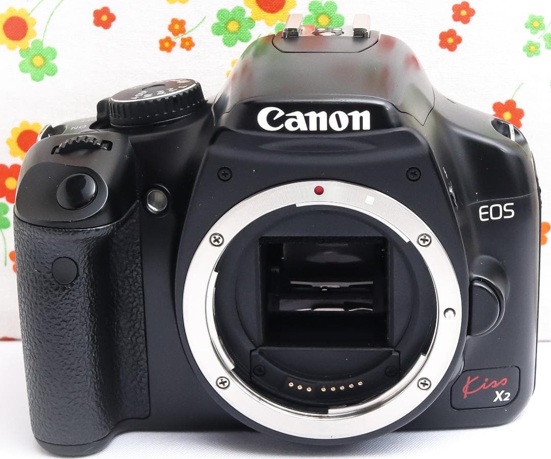 美品 キャノン Canon kiss x2☆スマホに転送☆お手軽一眼レフ♪