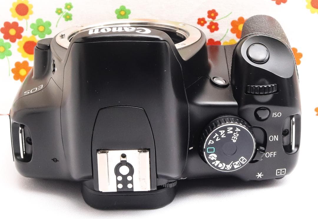 美品 キャノン Canon kiss x2☆スマホに転送☆お手軽一眼レフ♪