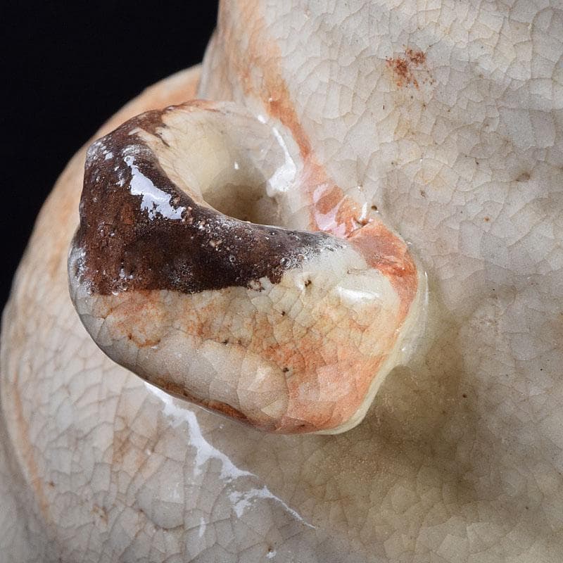 北大路魯山人作　志野焼　草文　水指　黒田陶々庵極め箱　D　R9297H