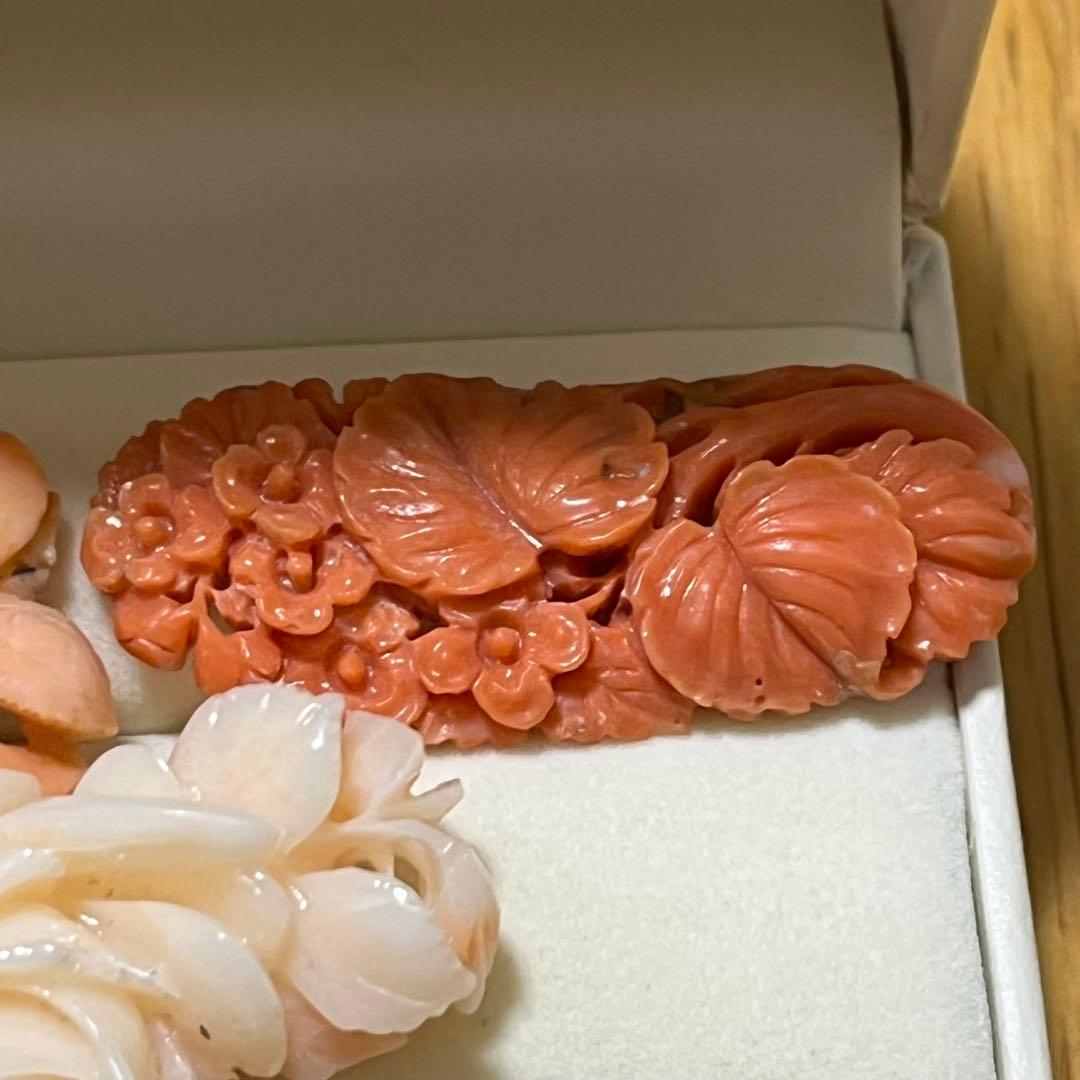 珊瑚アートサンゴ3個セット