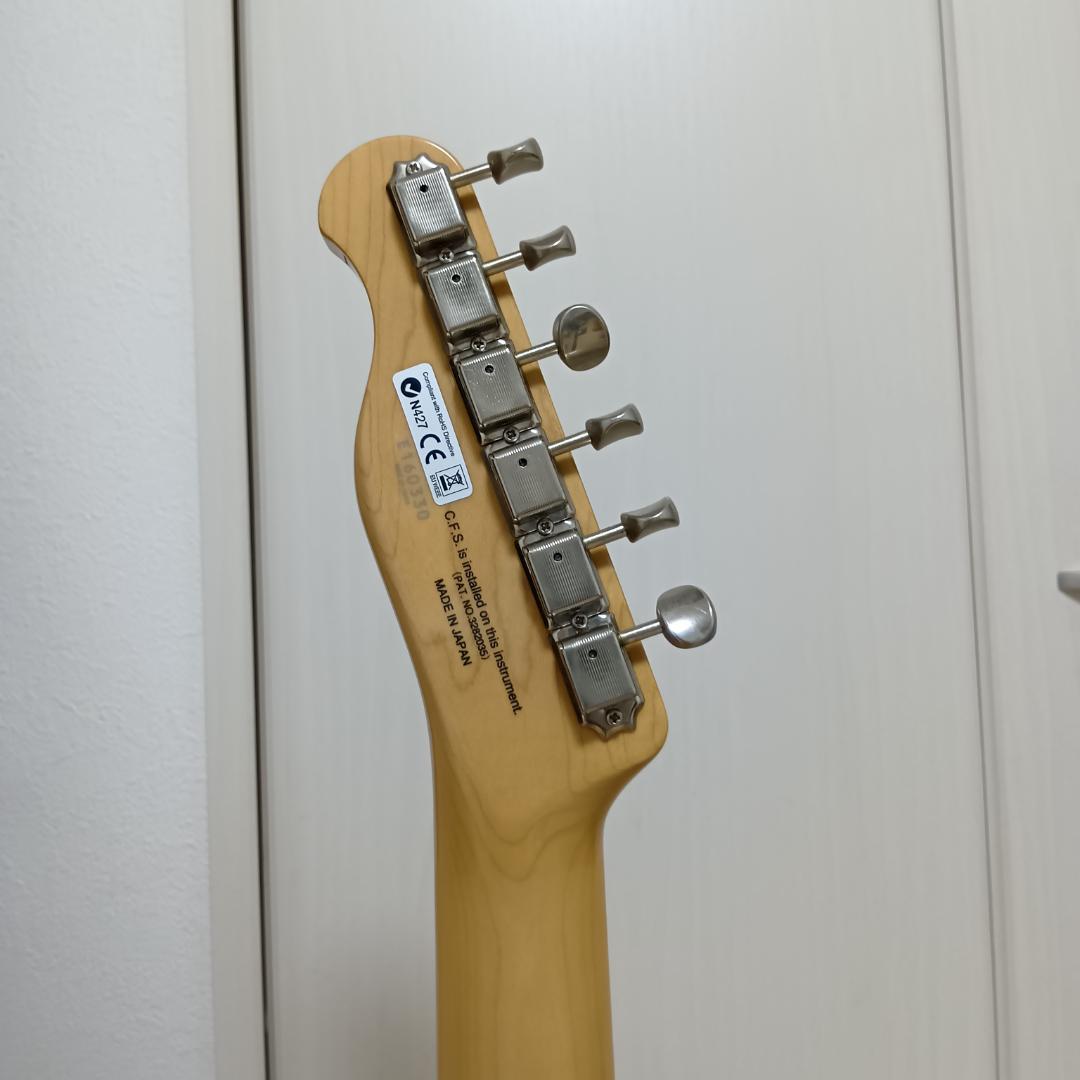 フジゲン テレキャスター Neo Classic Series