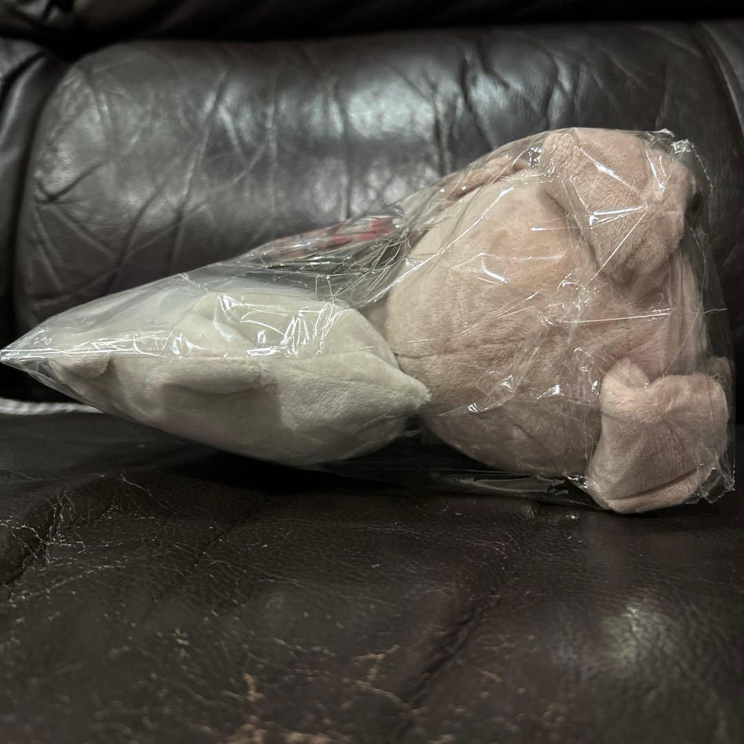 ふわっふわっのてざわり　ポケモンぬいぐるみ　イワンコ　タカラトミー　ポケセン