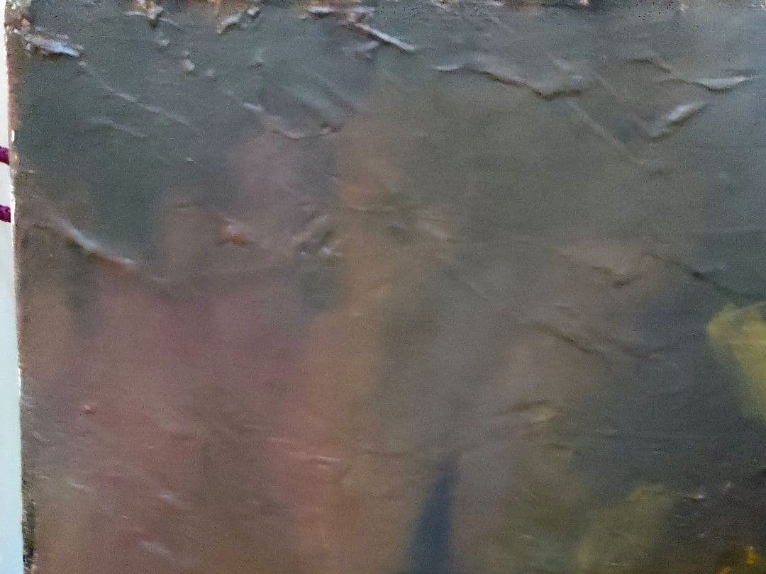 「柿図」油彩 F6 サイン有りKoiso