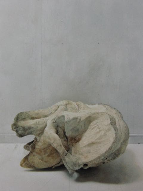 野田弘志、TOKIJIKU （非時）XVI Elephant 2、希少な画集より