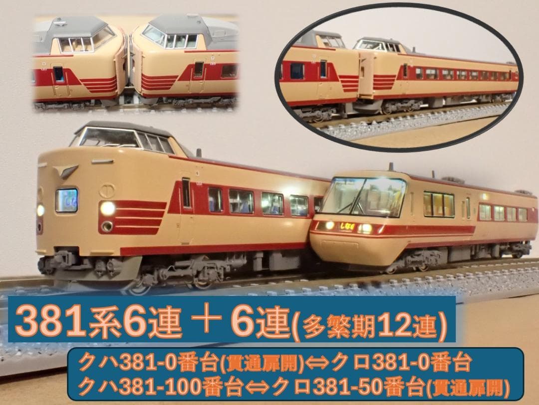 381系特急列車しなの 多客期6両＋６両１２両編成