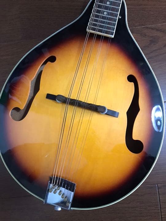 PLAYTECH フラットマンドリン