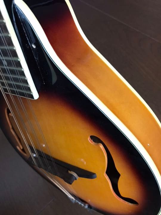 PLAYTECH フラットマンドリン