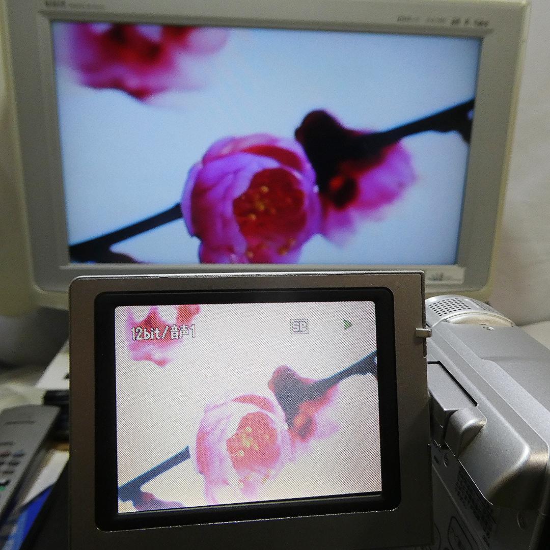 動作品ビクターGR-DX300K MiniDVビデオカメラ　DVDダビングに最適