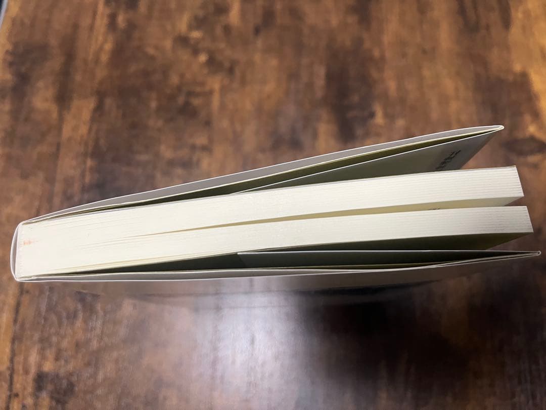 出雲王国とヤマト政権 富士林雅樹著