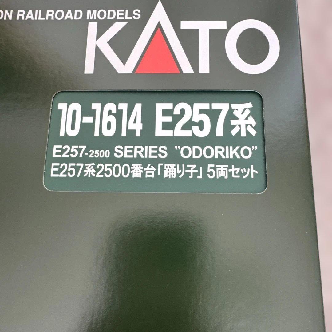 10-1613 10-1614 E257系2000番台2500番台「踊り子」