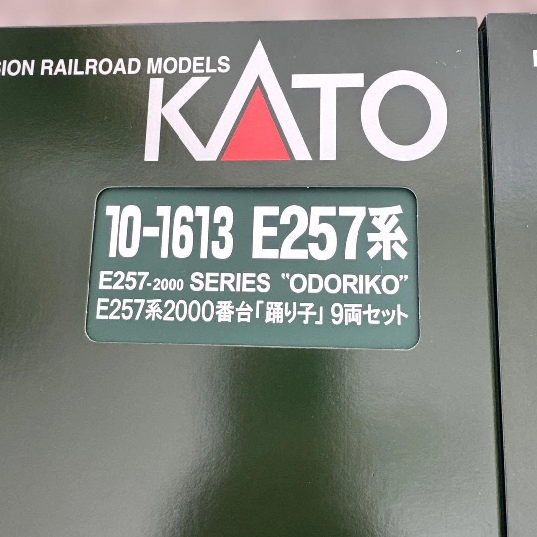 10-1613 10-1614 E257系2000番台2500番台「踊り子」