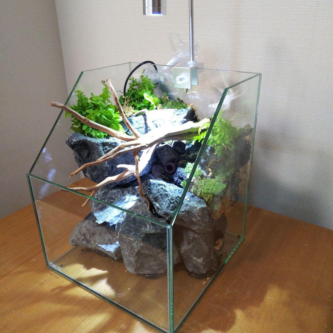 【受注生産】アクアテラリウム