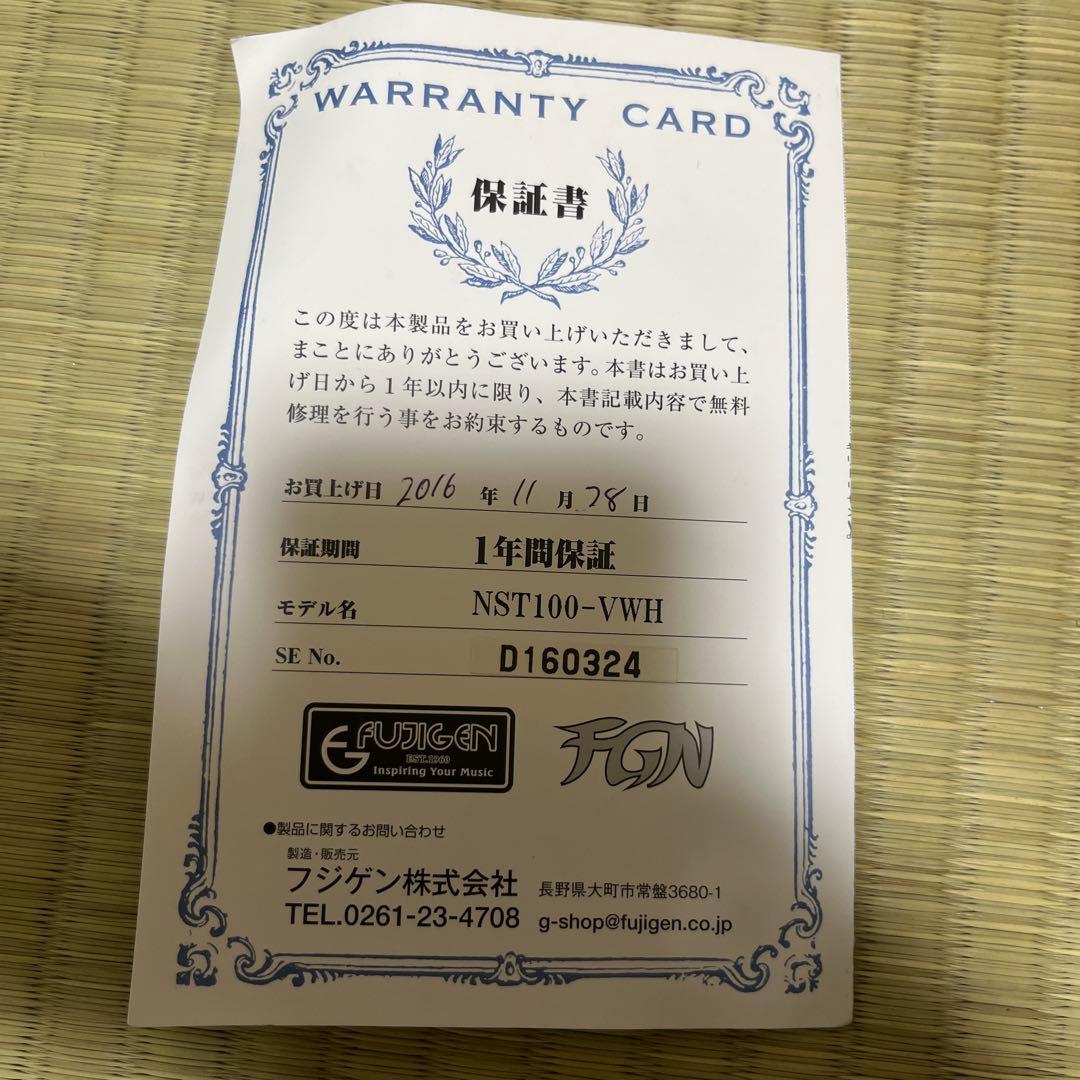 【国産】FUJIGEN(FGN) NST100 フジゲン ストラトキャスター