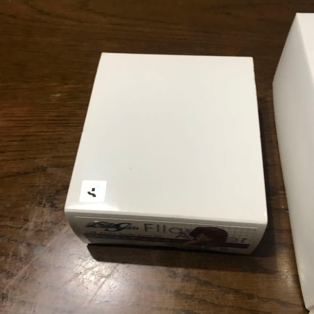 C3限定KOTOBUKIYA製1/8ラクス&1/8フレイガレージキットセット