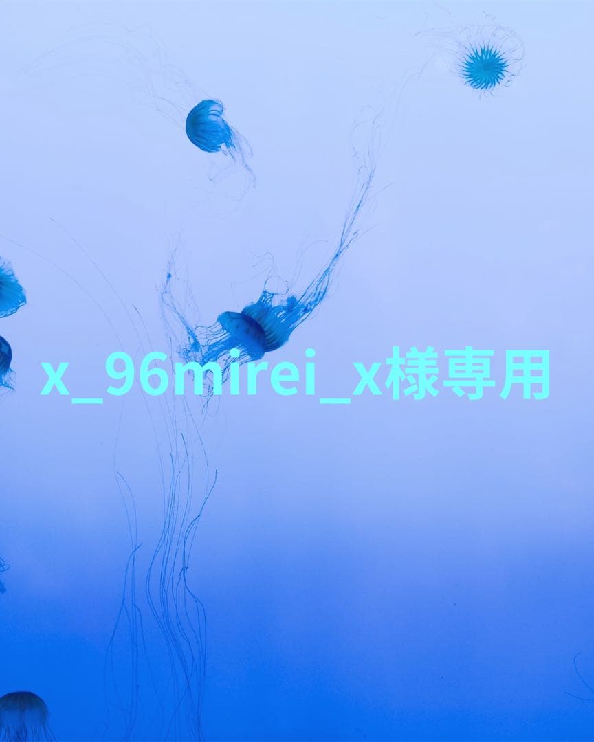 P フィギュア、ぬいキー