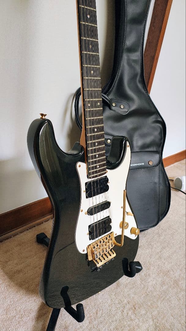 フェルナンデス FST-125　ラッカー　エボニー　Evansピックアップ