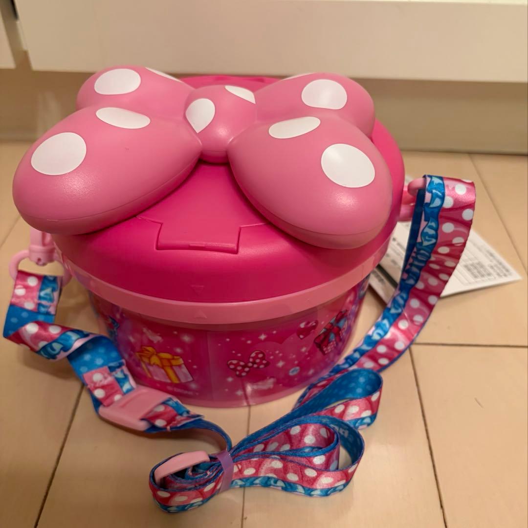 ディズニーパルパルーザ☆ミニーファンダーランド ポップコーンバケット☆チケット付