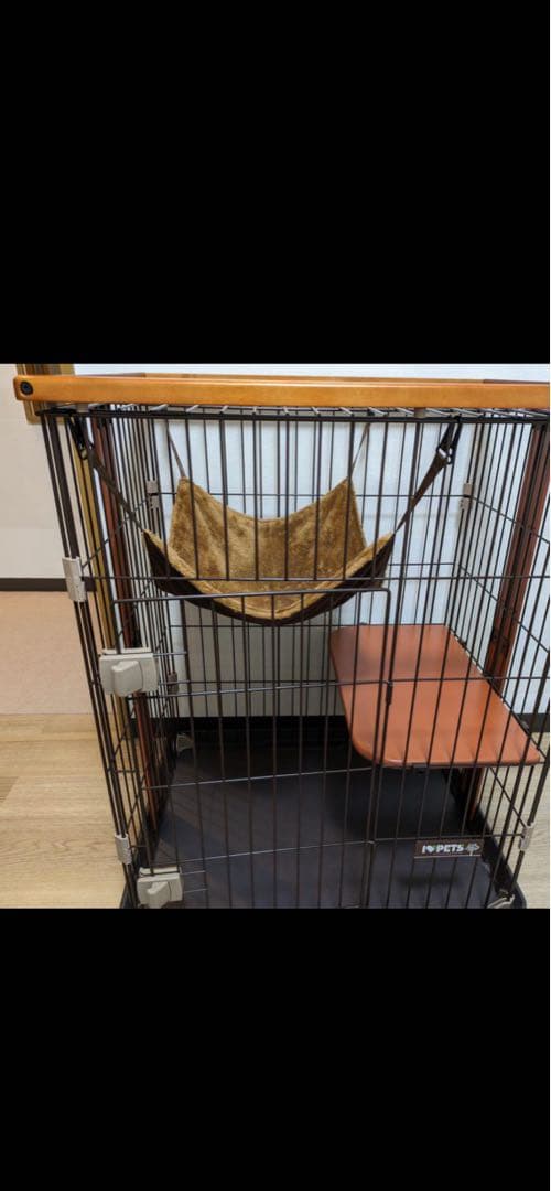 ボンビアルコンウッドワンサークルキャットミニ