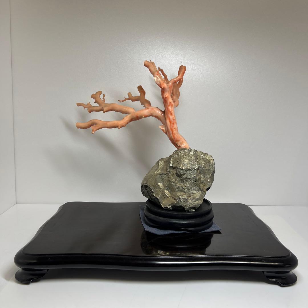 特大　極太桃色珊瑚　台付　3674g 東Y7-1106☆2Fトコオ