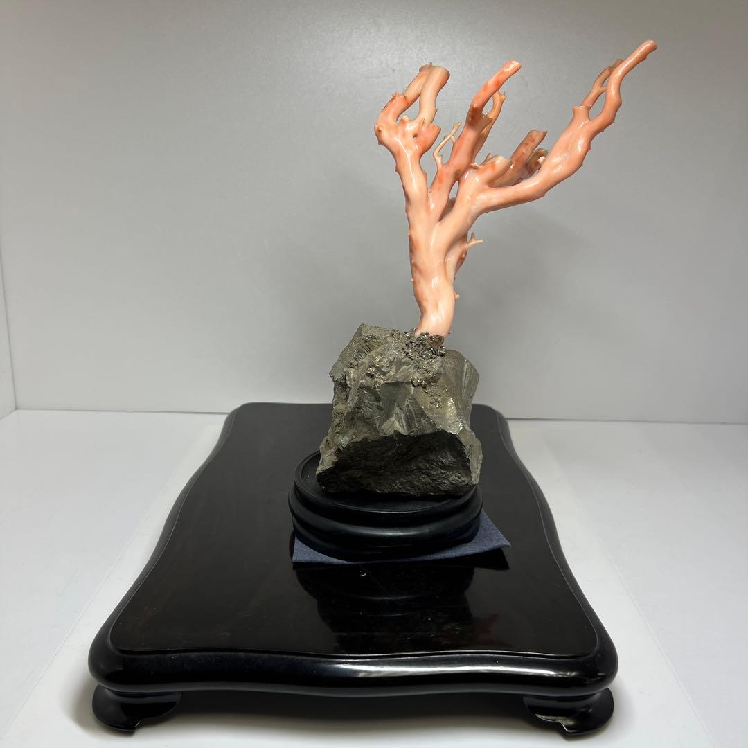 特大　極太桃色珊瑚　台付　3674g 東Y7-1106☆2Fトコオ