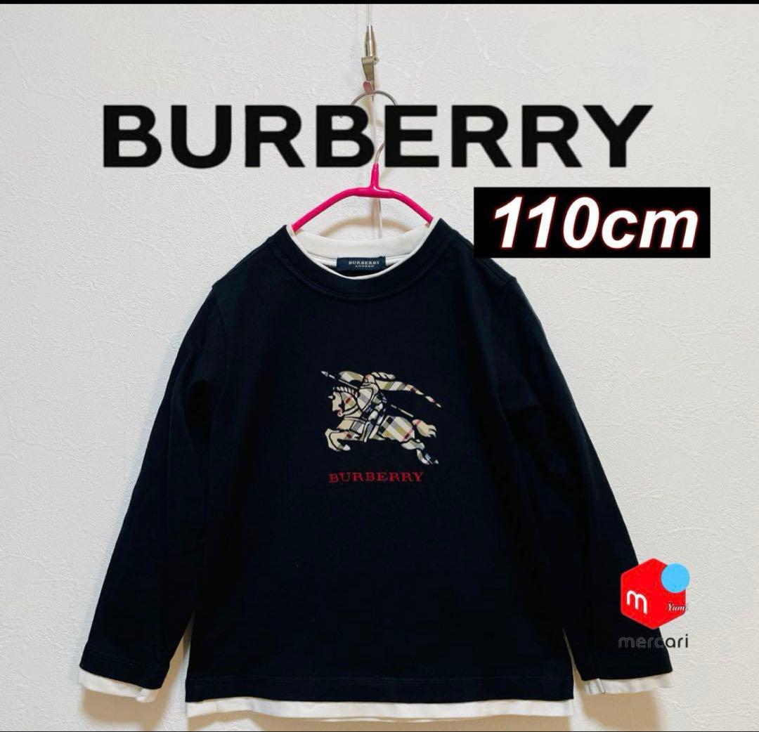 h111e様 おまとめ3点 FENDI BURBERRY