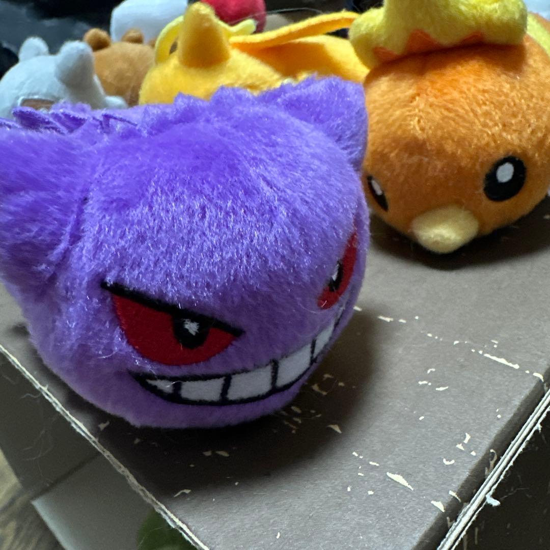ポケモン ぬいぐるみセット　１２体