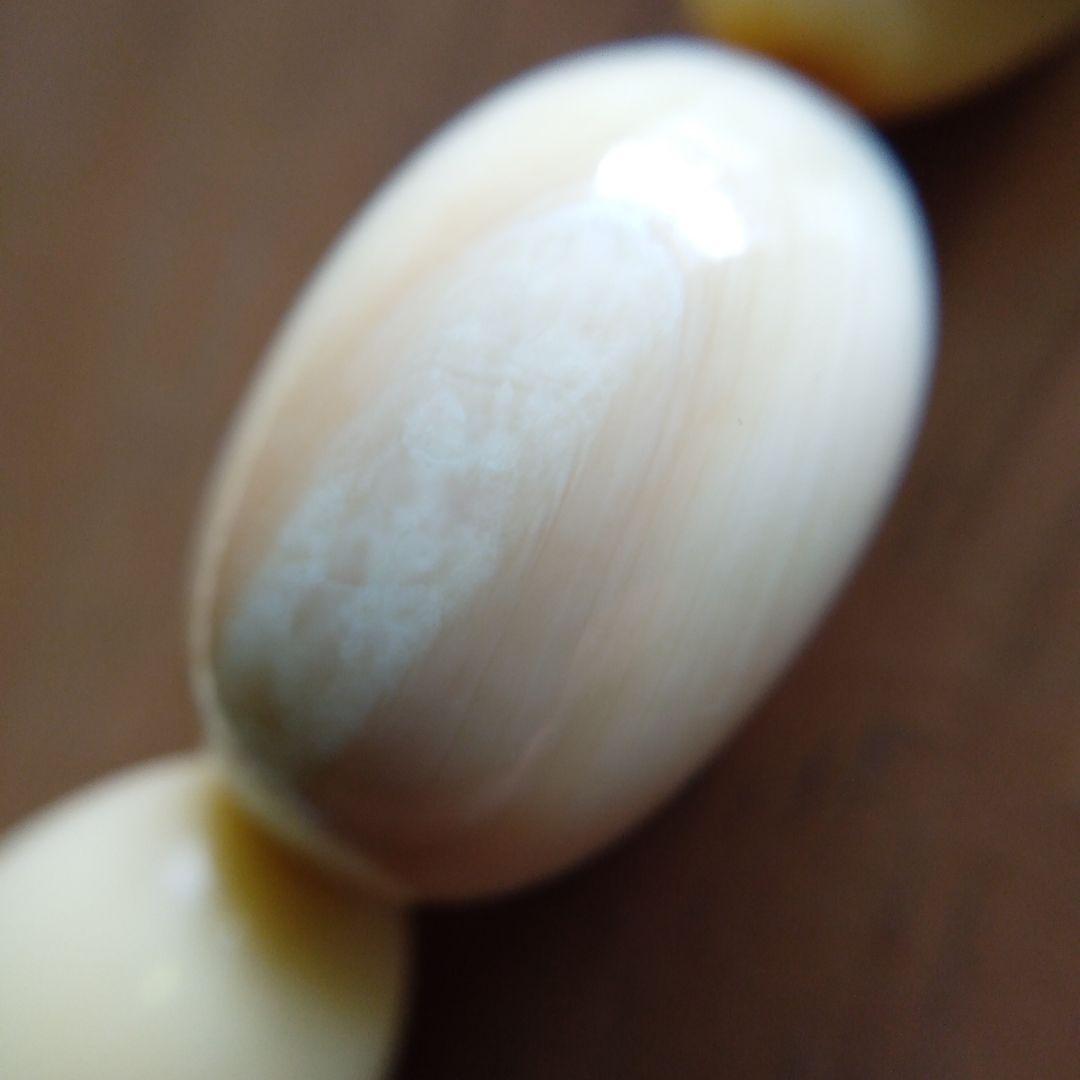 鯨歯　マッコウ鯨　ネックレス　約55㎝