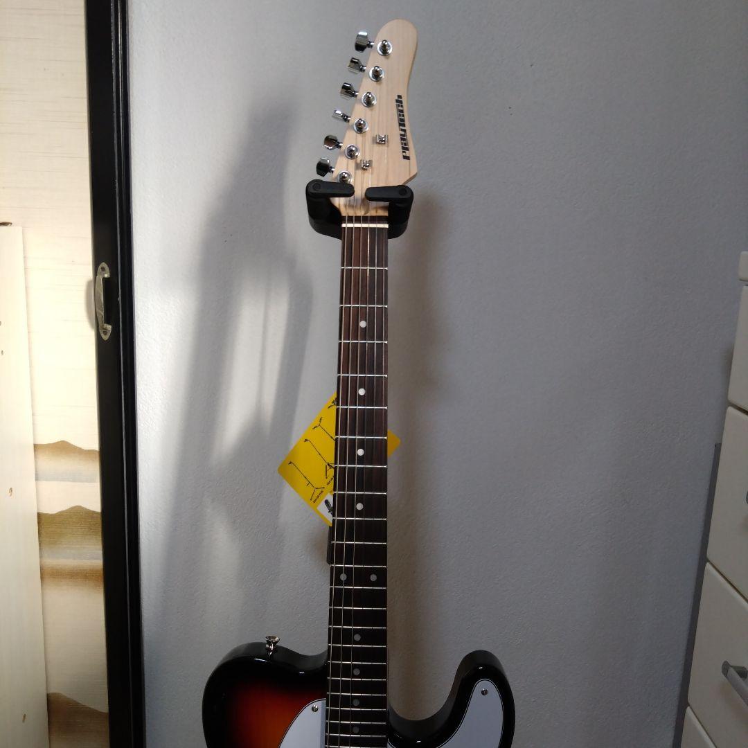 PLAYTECH プレイテック TL250 Rose Sunburst