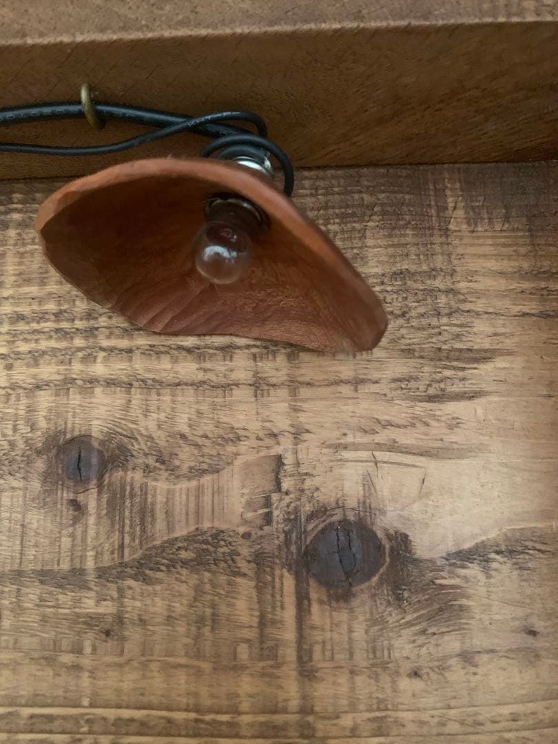 Ｉ・ ガラスケース 桜の木の手彫りシェードランプ