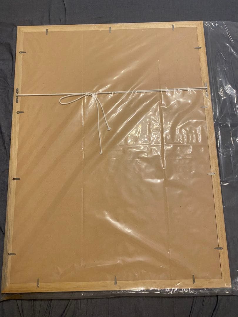 ジョジョの奇妙な冒険　複製原画　承太郎