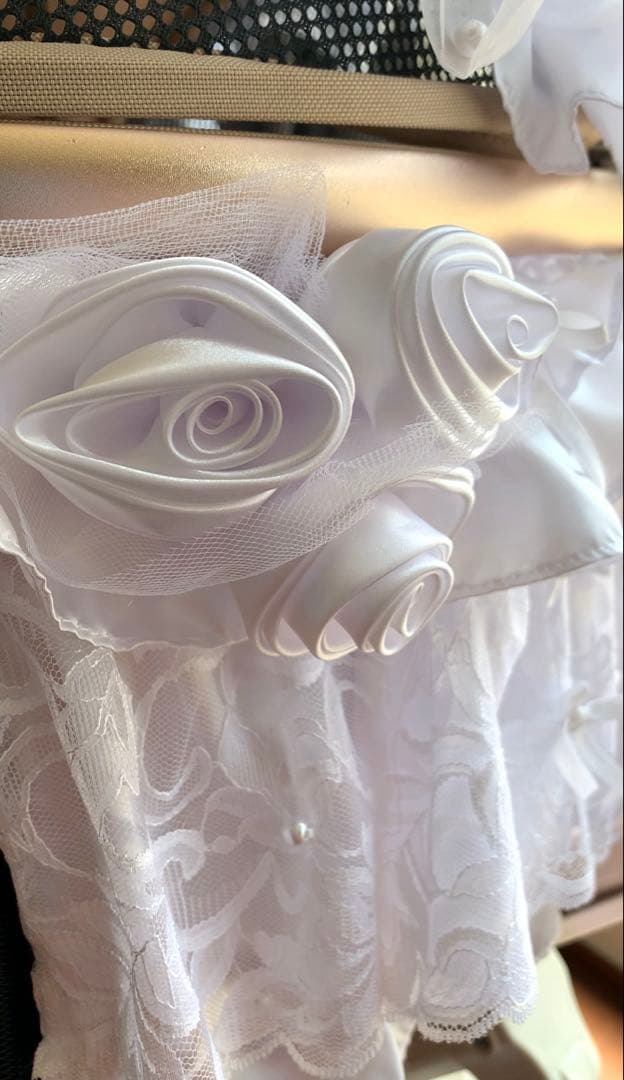 【限定1点】完全一点物 ラグジュアリー ドッグカート