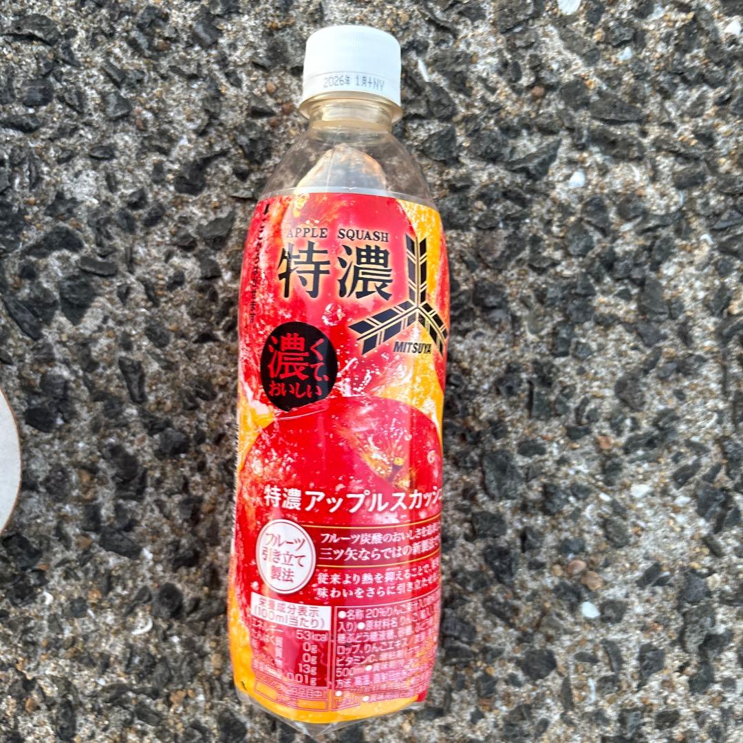 MITSUYA 特濃アップルスカッシュ 500ml