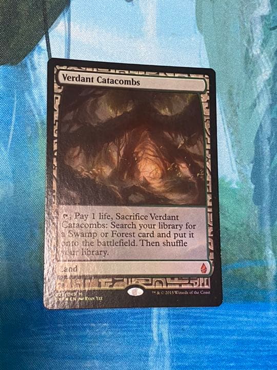 新緑の地下墓地/Verdant Catacombs foil mtg
