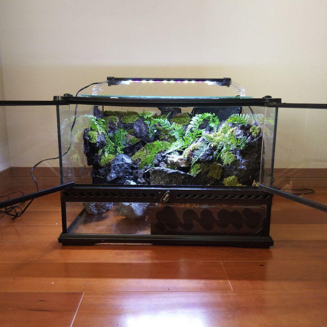 【受注生産】滝のあるアクアテラリウム　グラステラリウム 4530イモリウム