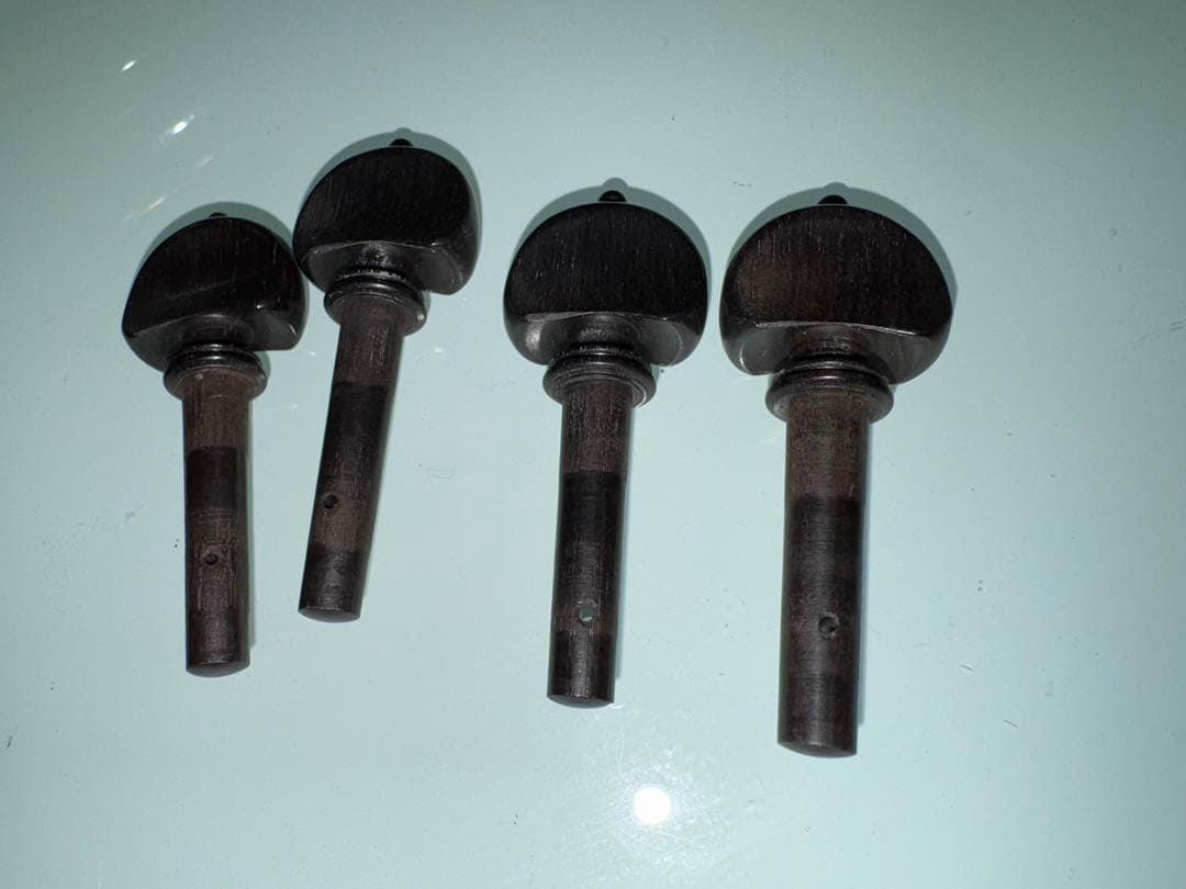 greenlab⚠️バイオリンフィッティング　ジョルジオスコラーリ純正