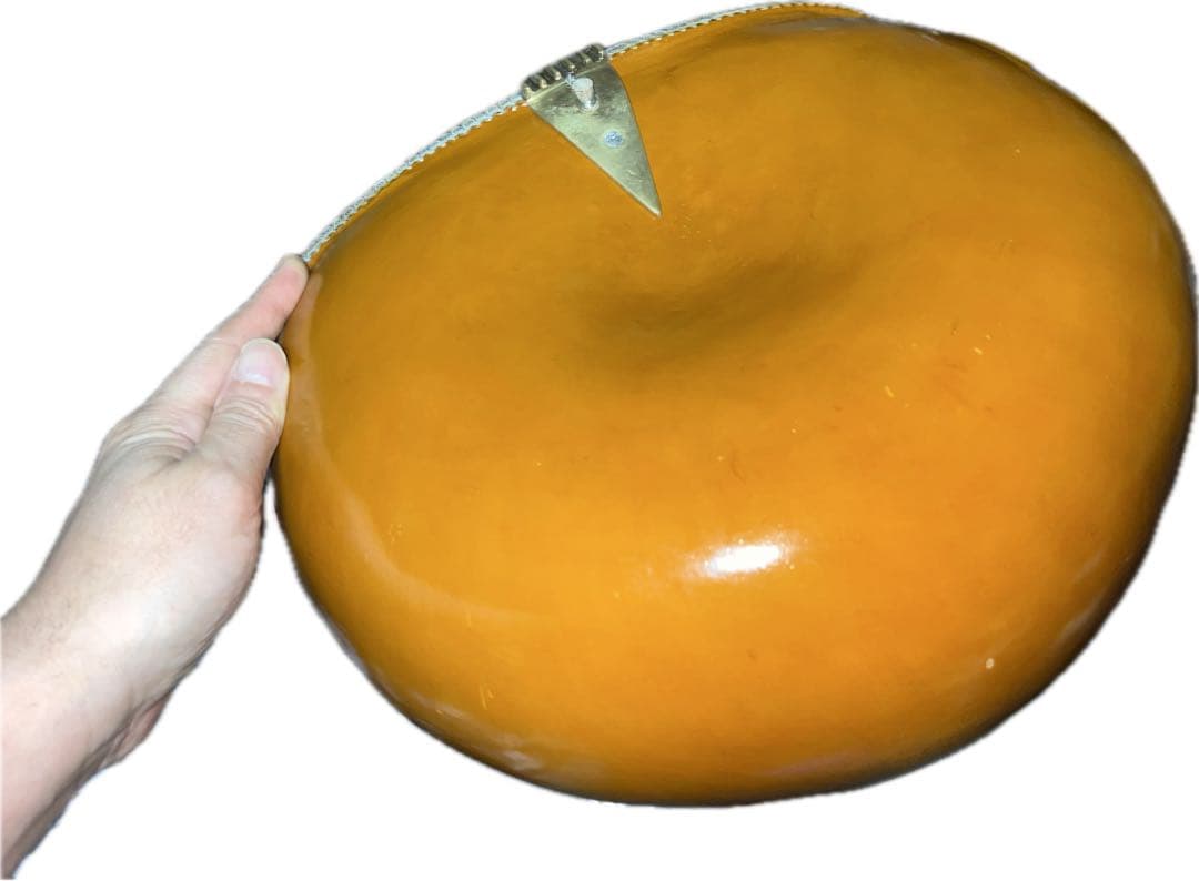 Bharat Music House シタール　ハードケース付き※初心者用調整済