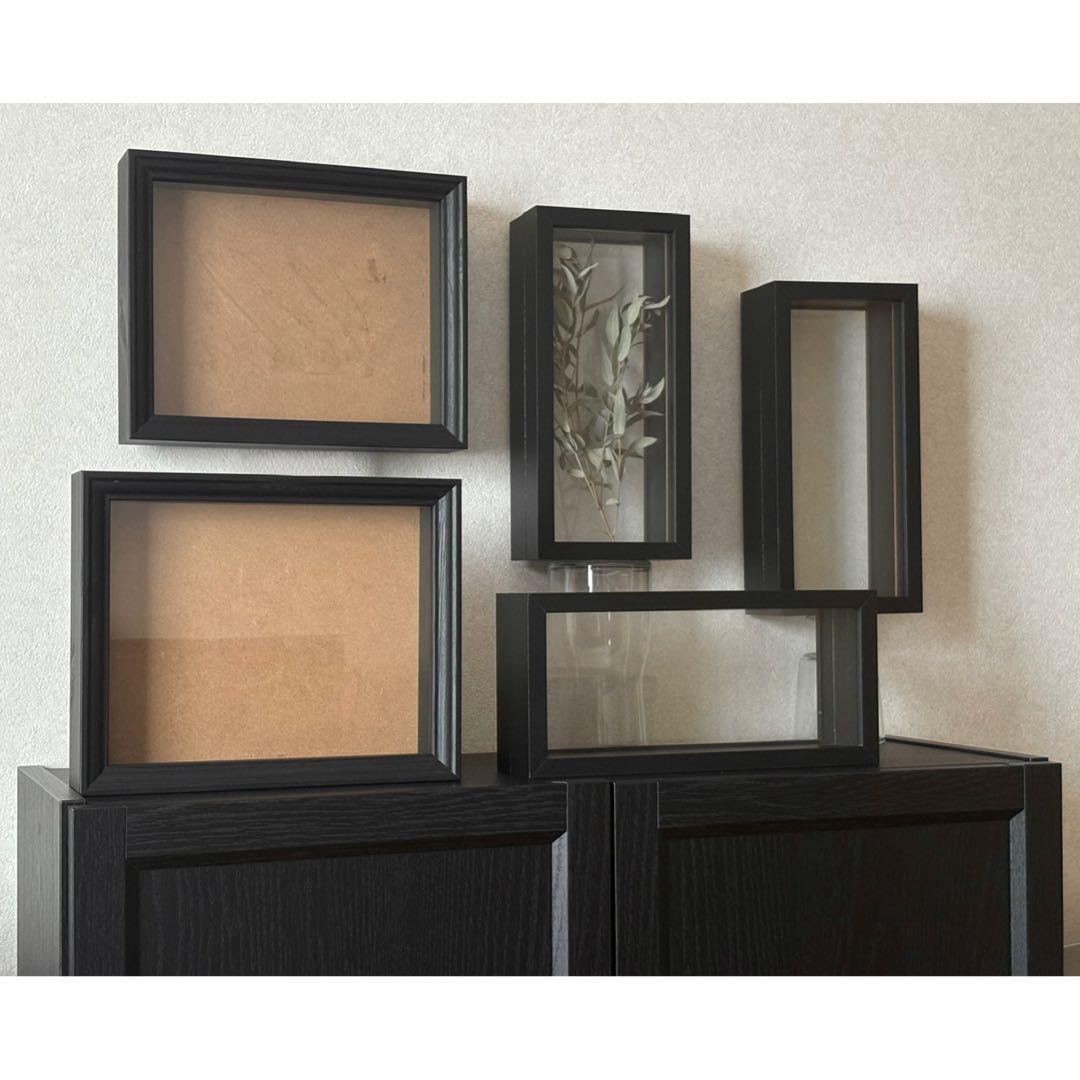 標本　フレーム　昆虫　植物　標本箱　シーラー