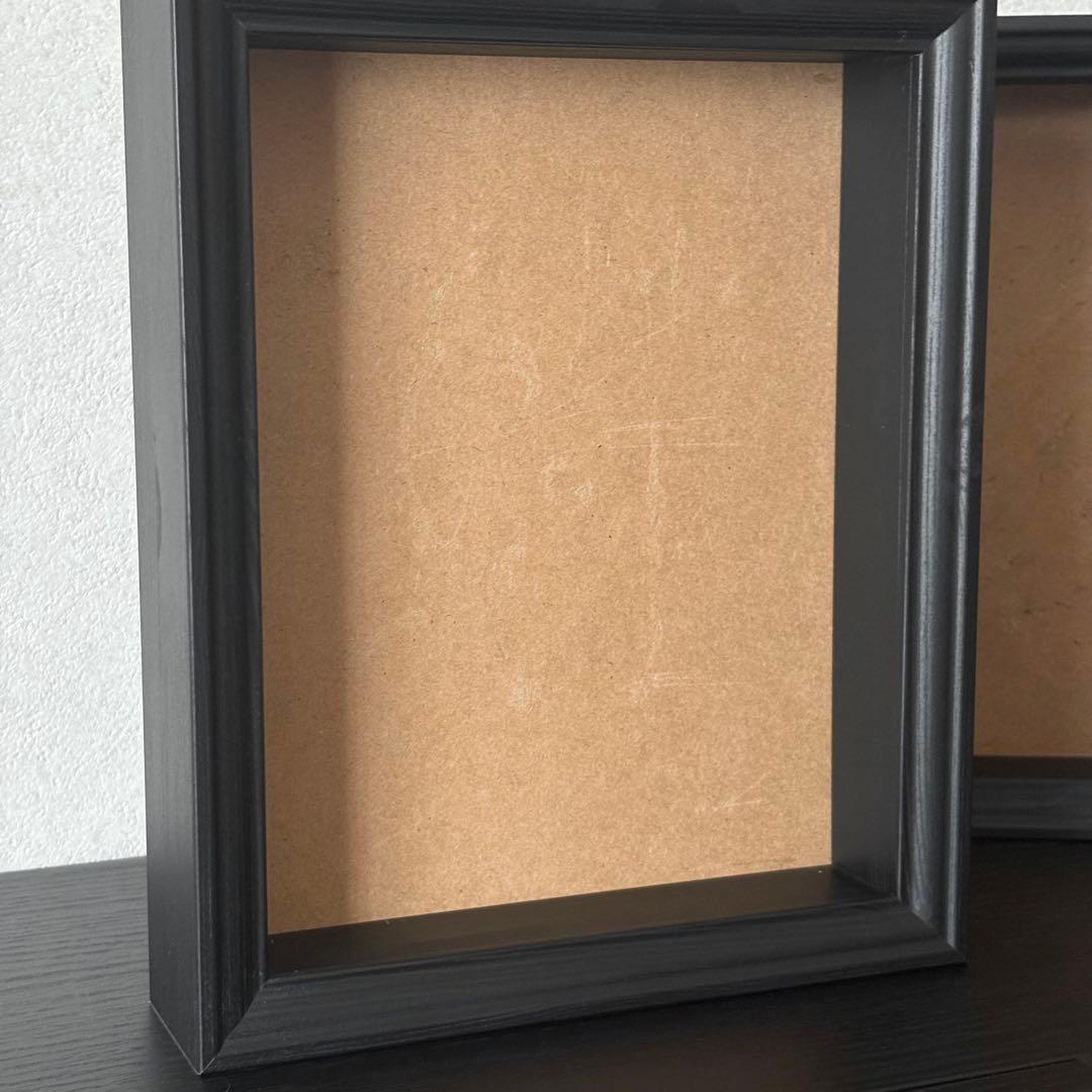 標本　フレーム　昆虫　植物　標本箱　シーラー