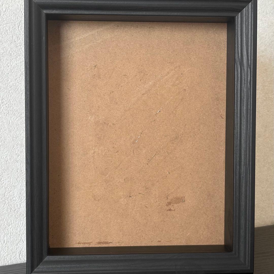 標本　フレーム　昆虫　植物　標本箱　シーラー