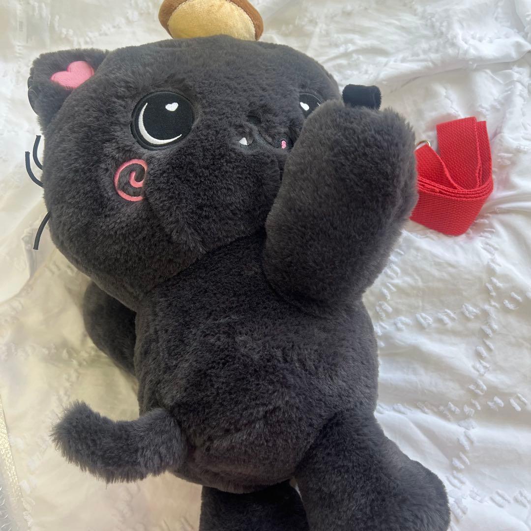 nct wish リク　キャラクターバッグ　ソウルコン MD カバン　クリ