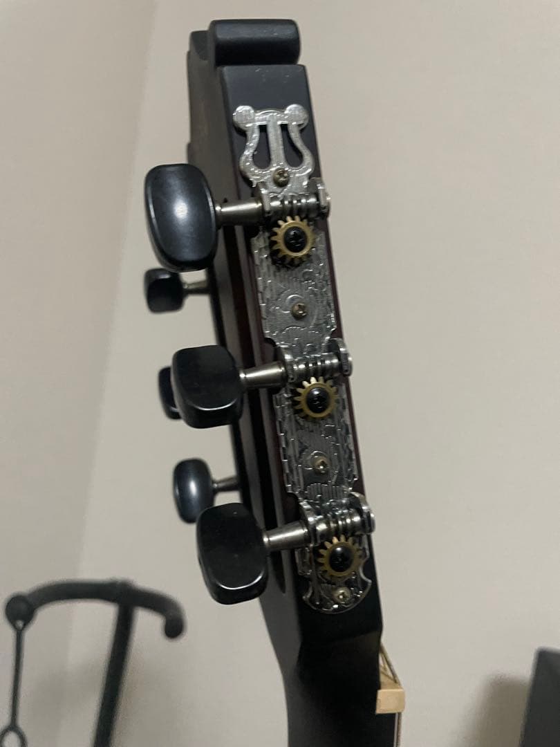 Ibanez GA30TCE-DVS アコースティックギター
