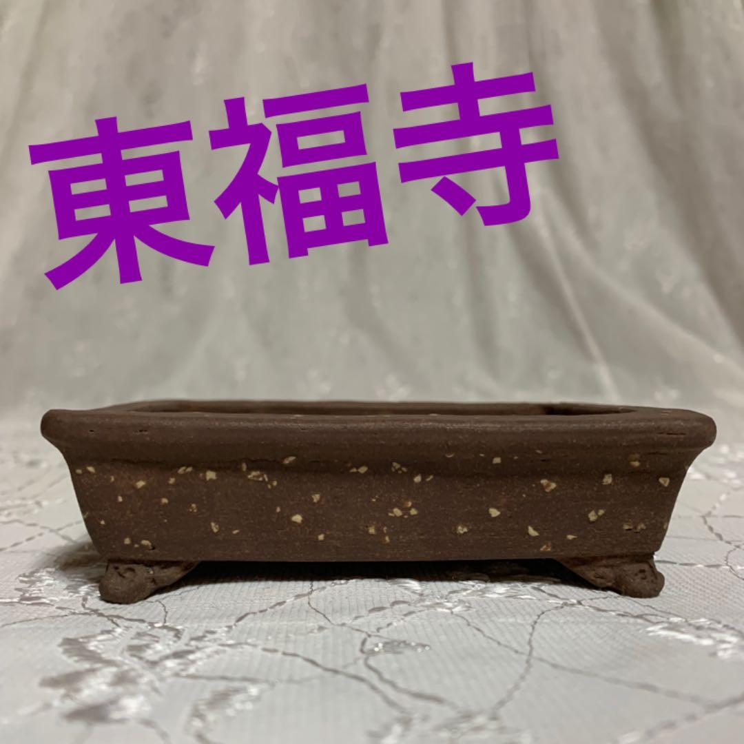 東福寺　長方　人気鉢！