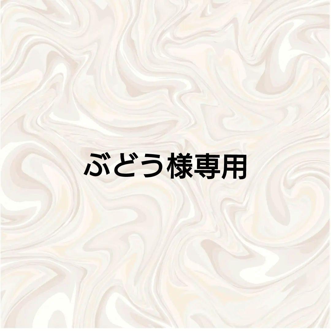 ぶどう　100DaysSavingChallengeBOX