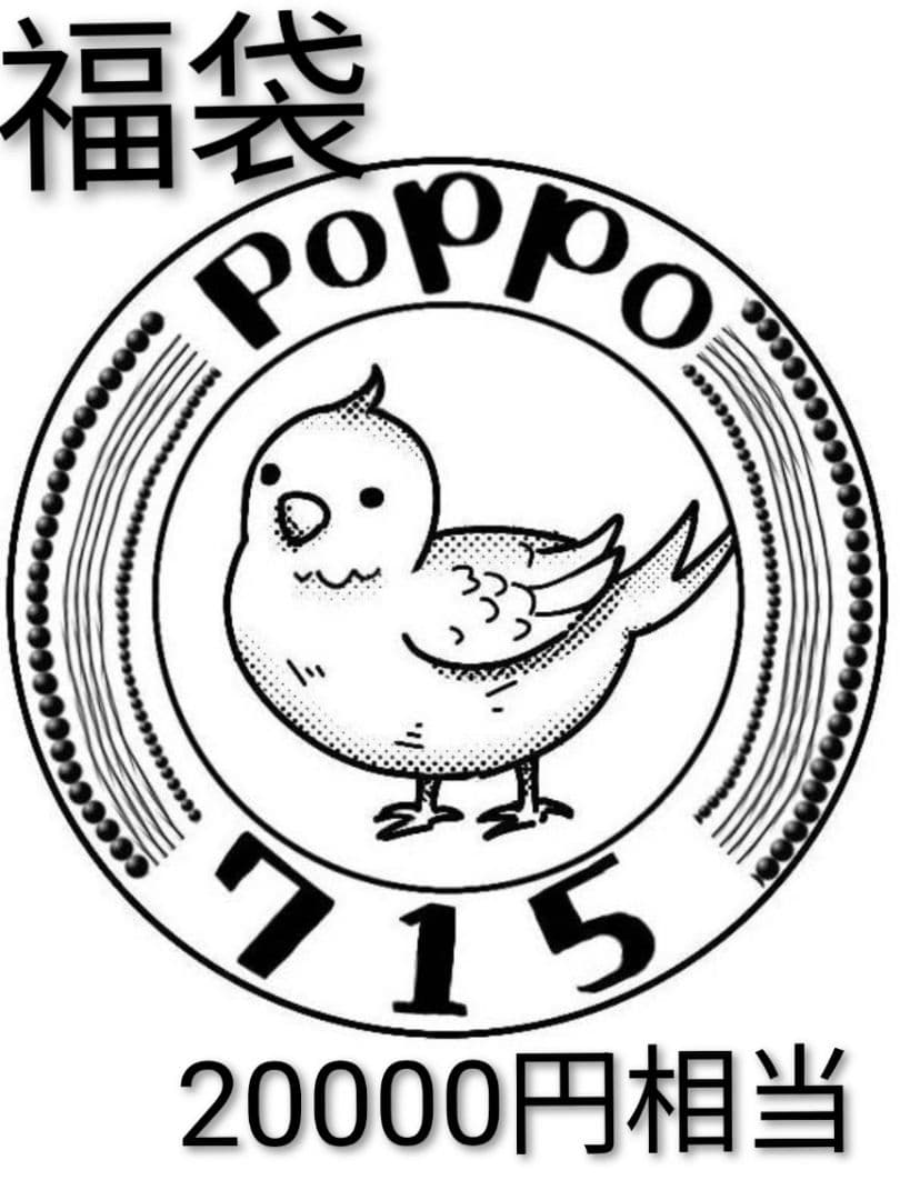 中身がわかる　poppo715福袋（20000円相当）　1/12　布服　⑨