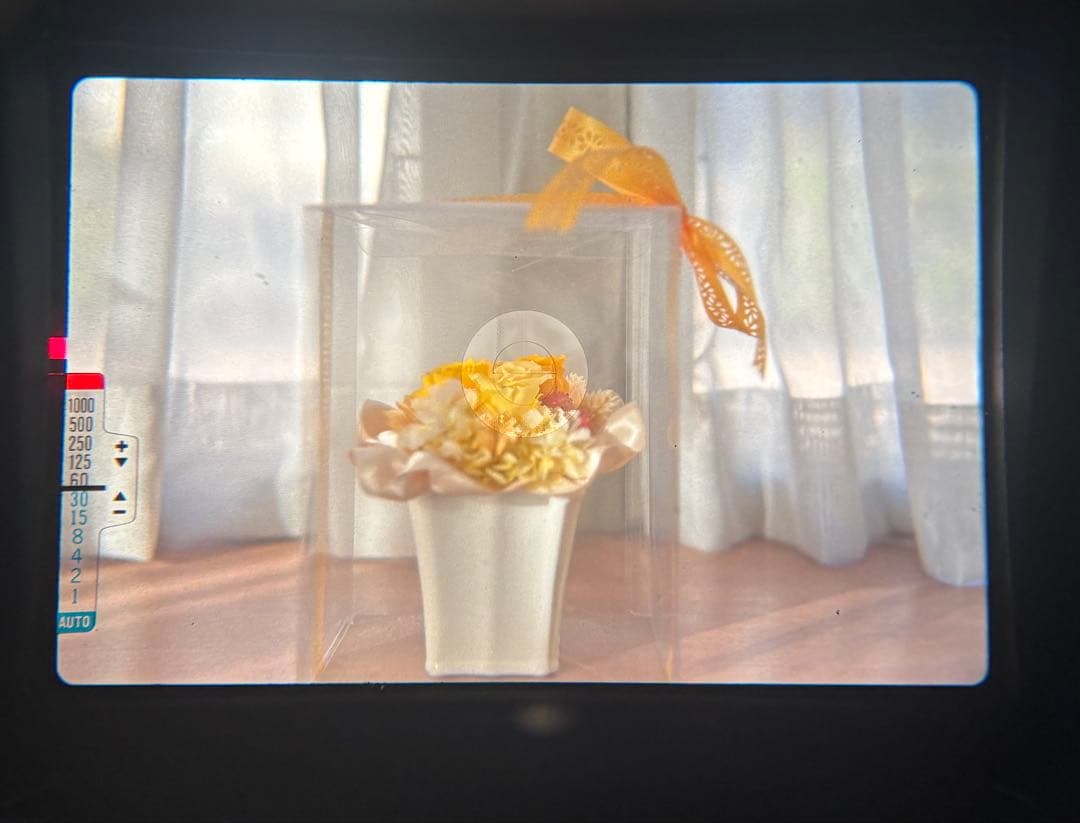 ★ OLYMPUS OM-2N + 標準レンズ 50mm